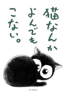 Cats Don't Come When Called